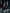 RunOff Pulse 2.0 Balance
